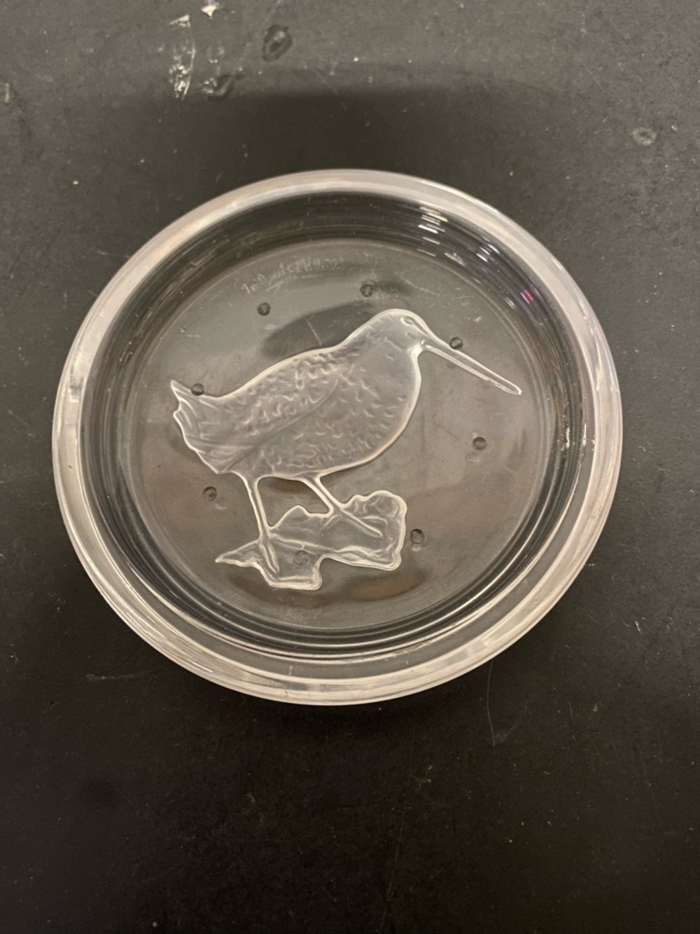 Vintage Crystal Coaster From Val Saint Lambert, Engraved With design of bird